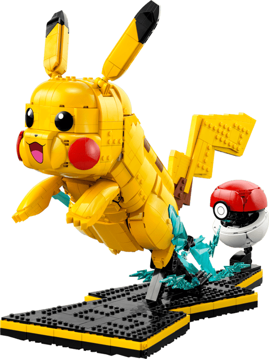 Pokémon | Pikachu and Poké Ball