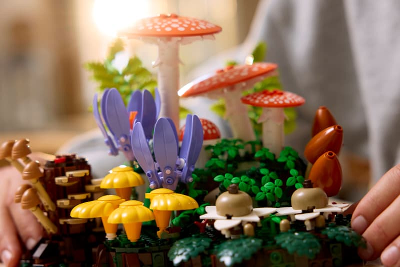 Botanicals | Woodland Mushrooms