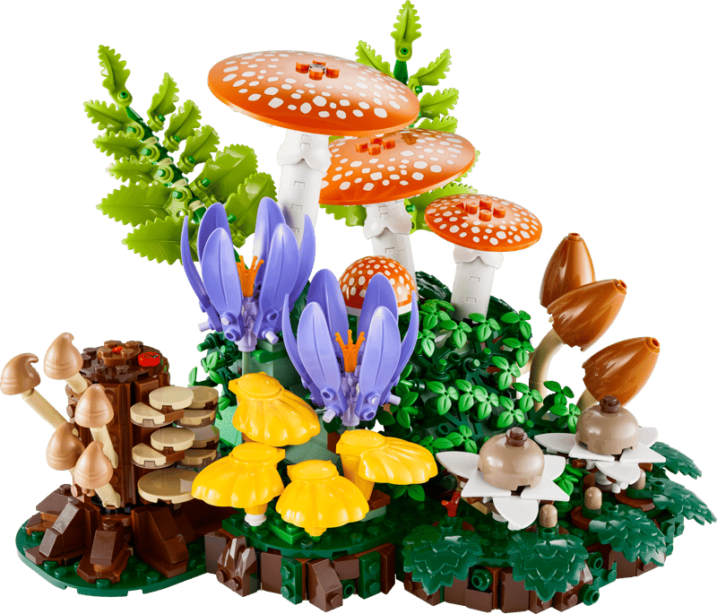 Botanicals | Woodland Mushrooms