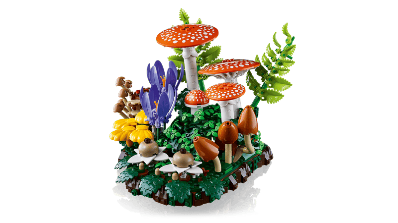 Botanicals | Woodland Mushrooms